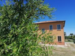 Rif. 1293 Casa singola a Sant'Angelo di Piove