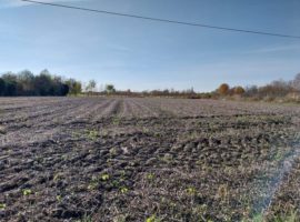 RIF. 1961 TERRENO AGRICOLO 4500 MQ.