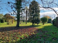 RIF. 1968 TERRENO EDIFICABILE A SAONARA